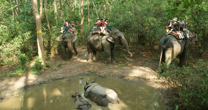 Chitwan