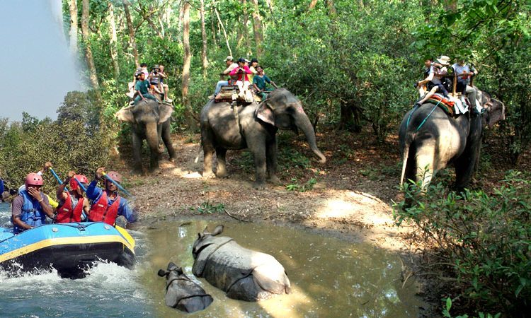 3 Days – Chitwan Jungle Safari and Rafting