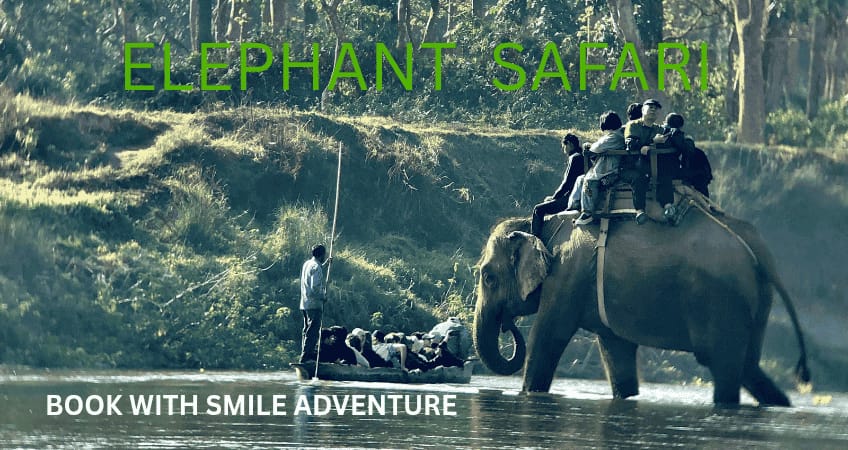 Chitwan Tour by Elephant Safari
