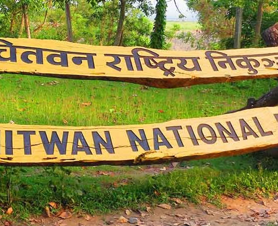 How to travel from Kathmandu to Chitwan National Park
