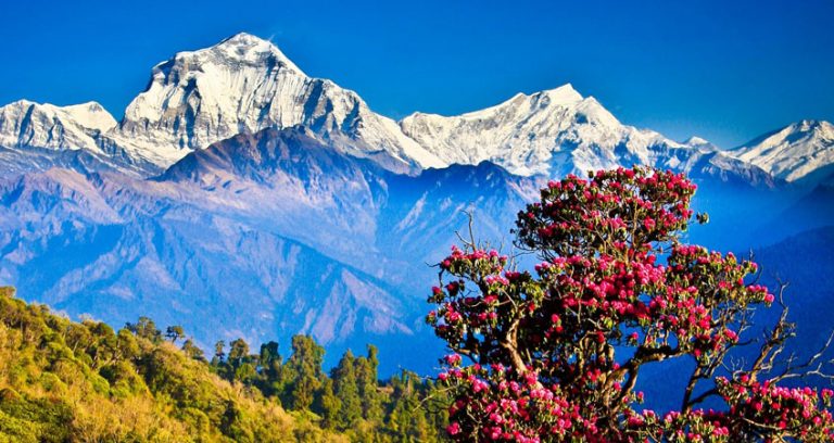 ghorepani poon hill trek