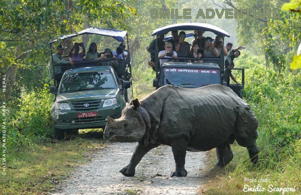Jeep Safari Chitwan
