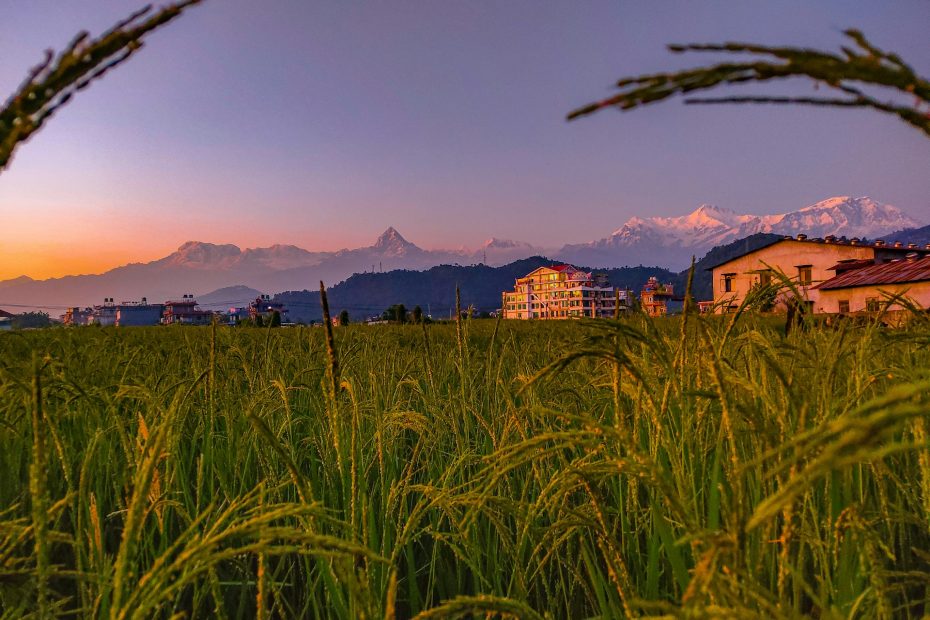 pokhara entrance fee ticket price