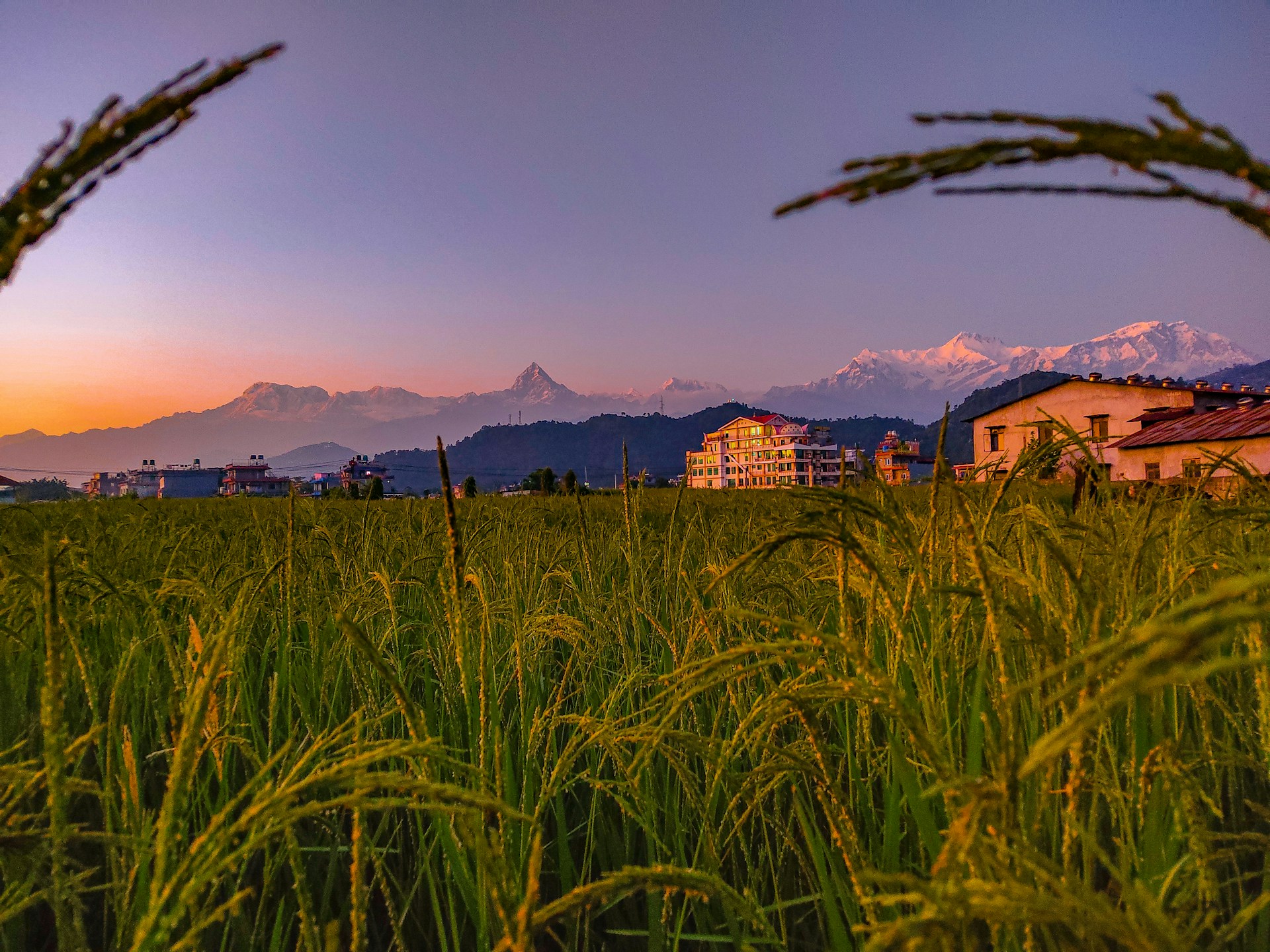 pokhara entrance fee ticket price